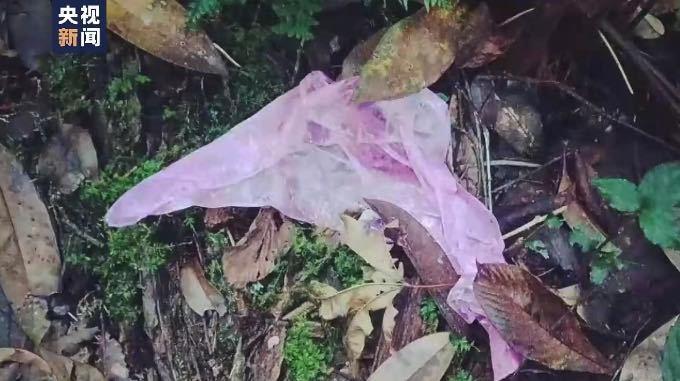 云南哀牢山四名失联人员已找到 均已遇难
