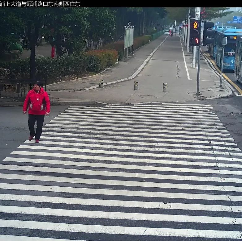高清无码不遮脸！福州这些行人闯红灯被曝光！