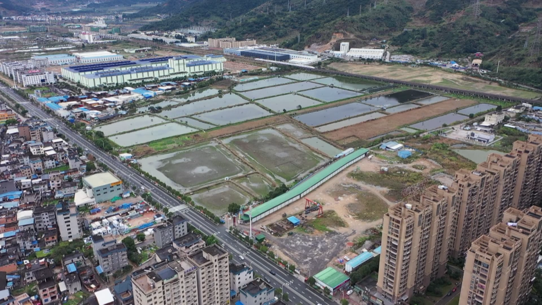 春节不休假 罗源县加速推进县第二医院项目征地工作