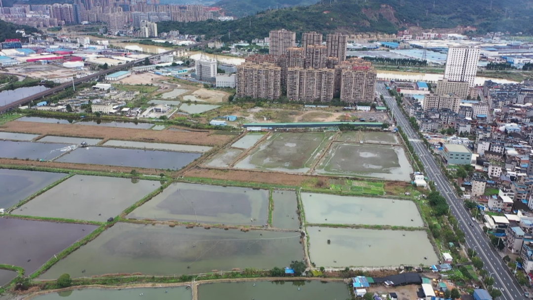 春节不休假 罗源县加速推进县第二医院项目征地工作