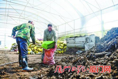 厦门垃圾分类迈进“3.0”阶段：靶向发力 实现垃圾减量化资源化