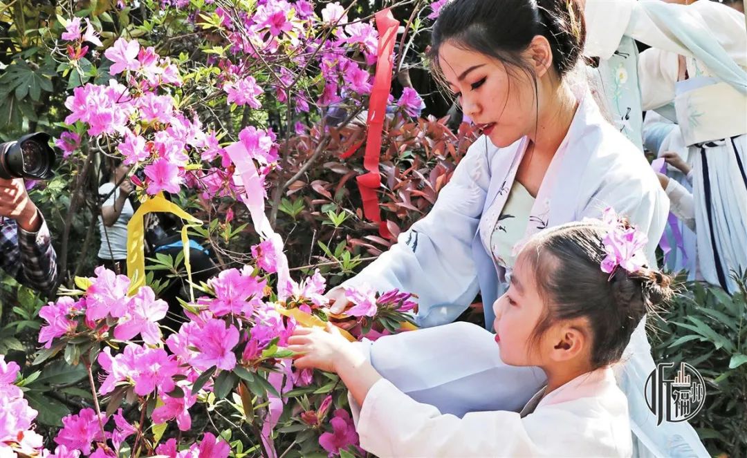听福州 | 春来福至繁花盛 万物复苏龙抬头