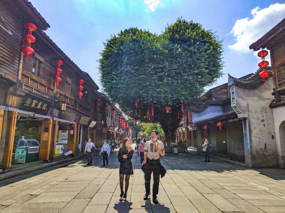 新华社关注福州榕树：树，对一座城意味着什么……