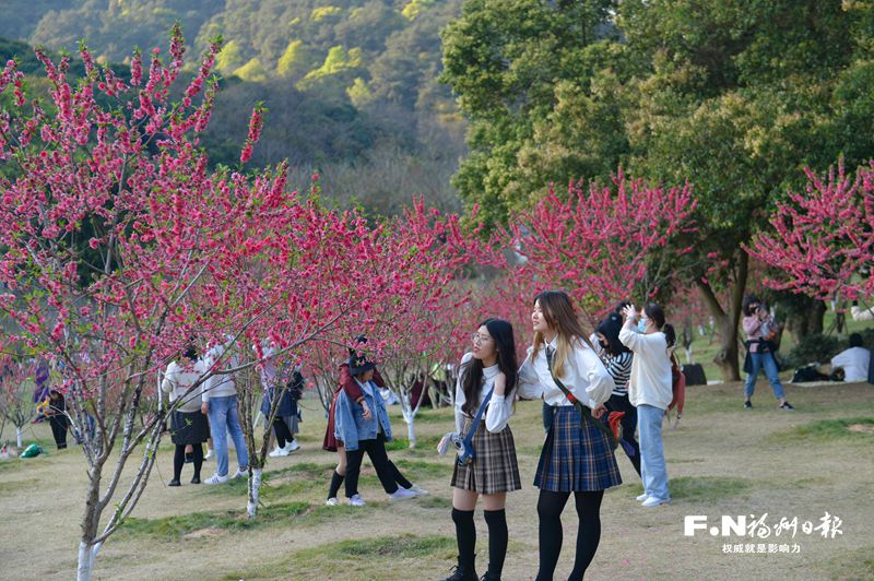福州森林公园桃花开