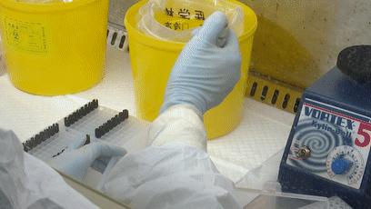 永泰县核酸检测PCR实验室：他们24小时不打烊