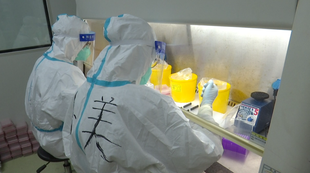 永泰县核酸检测PCR实验室：他们24小时不打烊