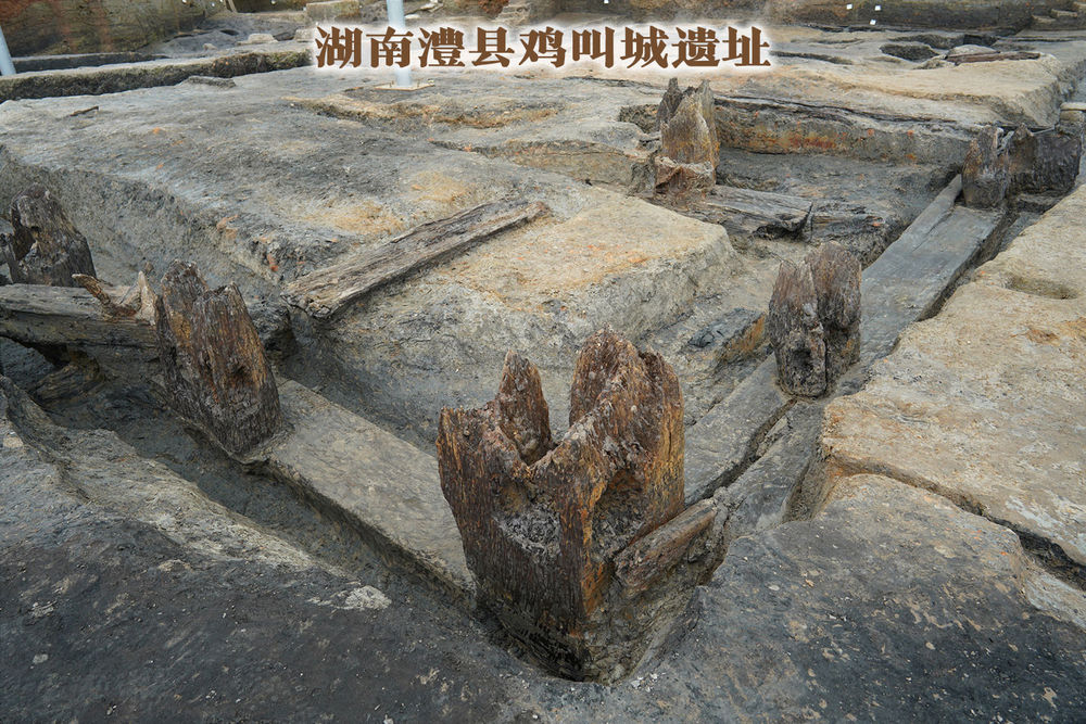 一探究竟！它们缘何入选“十大考古新发现”？