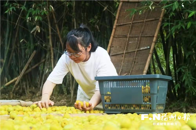 永泰青年与乡村的“双向奔赴”