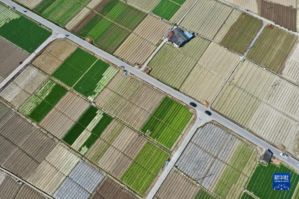 闽侯：大地调色板 俯瞰春耕如画