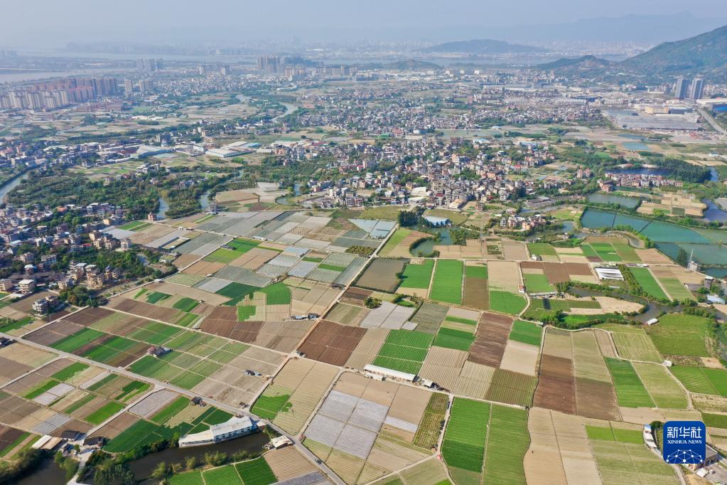 闽侯：大地调色板 俯瞰春耕如画