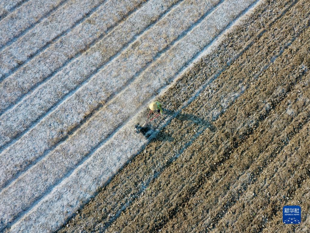 闽侯：大地调色板 俯瞰春耕如画