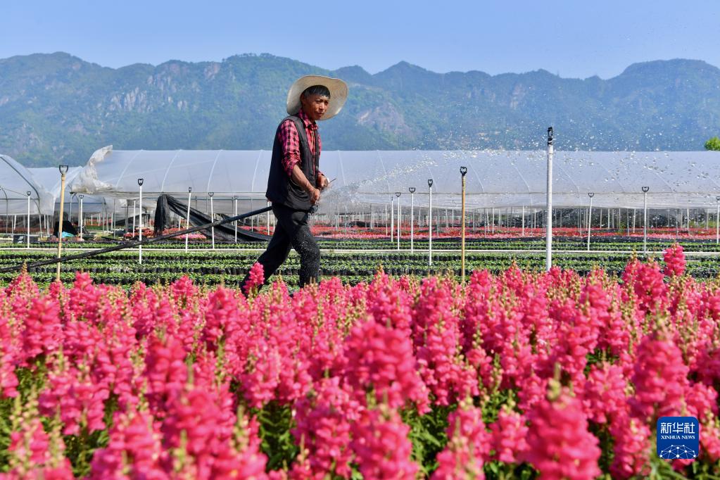 闽侯：大地调色板 俯瞰春耕如画