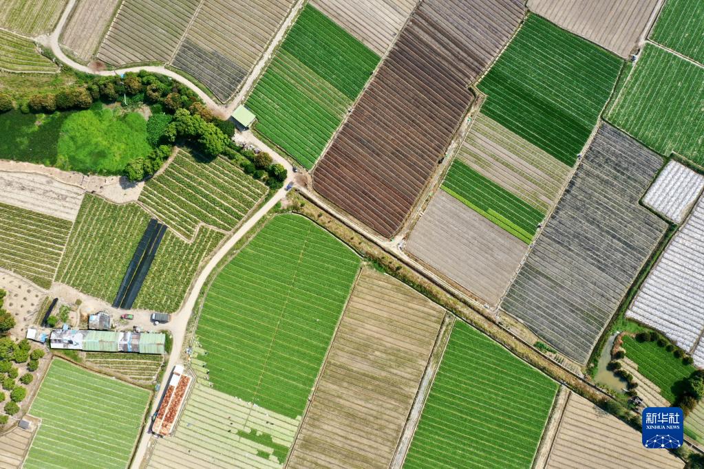 闽侯：大地调色板 俯瞰春耕如画