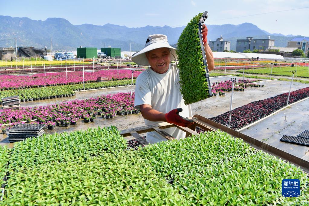 闽侯：大地调色板 俯瞰春耕如画
