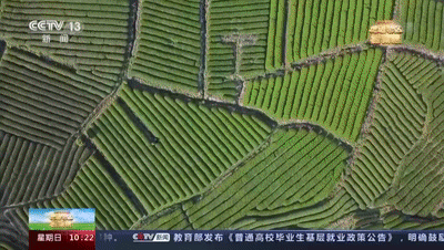 再次霸屏！央视大型网络直播《走进老区看新貌》聚焦福建