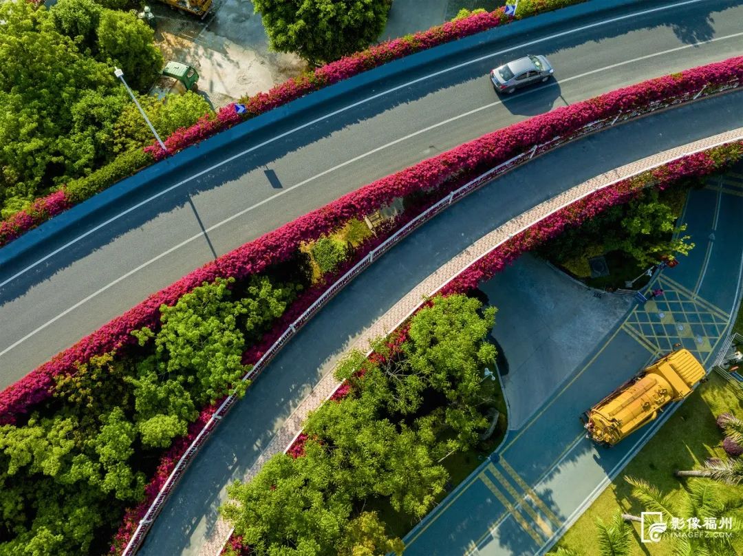 人间最美四月天,人民日报头版点赞仓山这里! 人间最美四月天,人民日报头版点赞仓山这里!