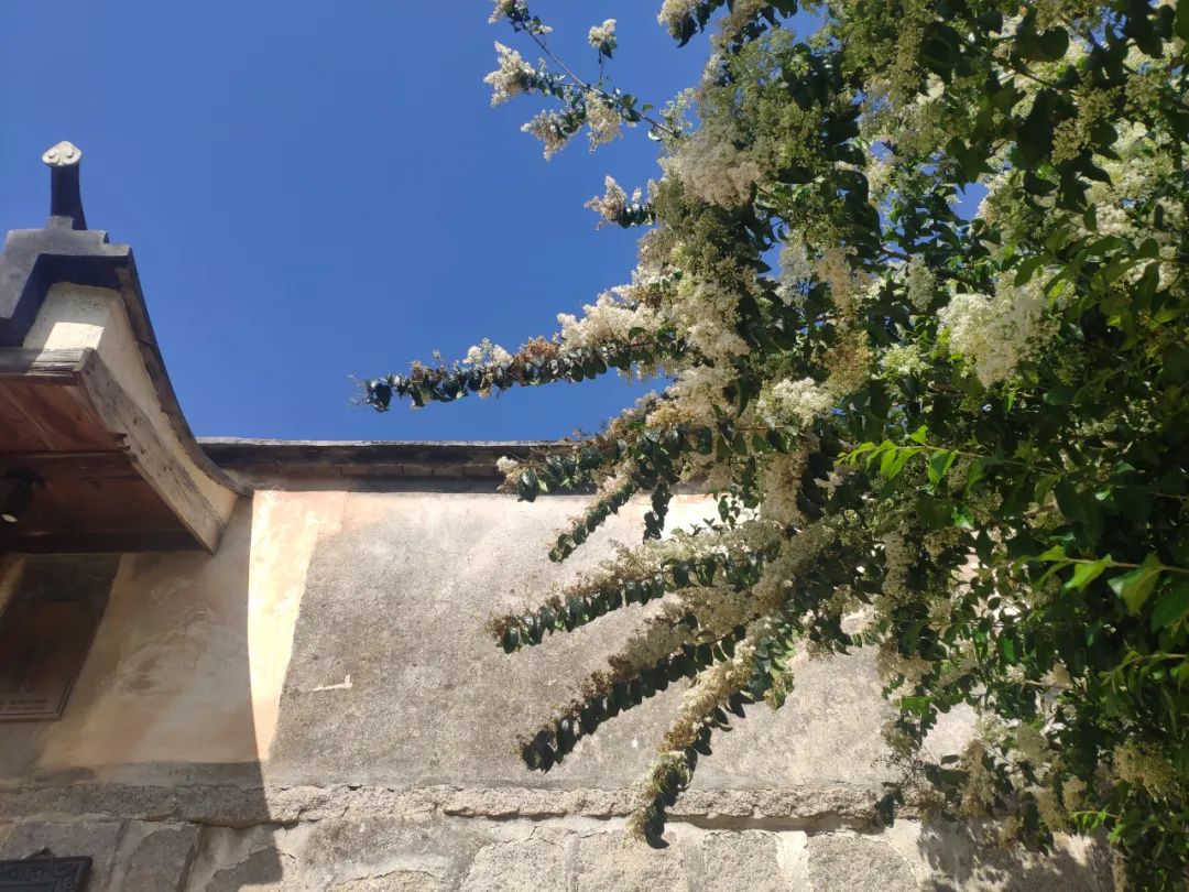 人间最美四月天,人民日报头版点赞仓山这里! 人间最美四月天,人民日报头版点赞仓山这里!