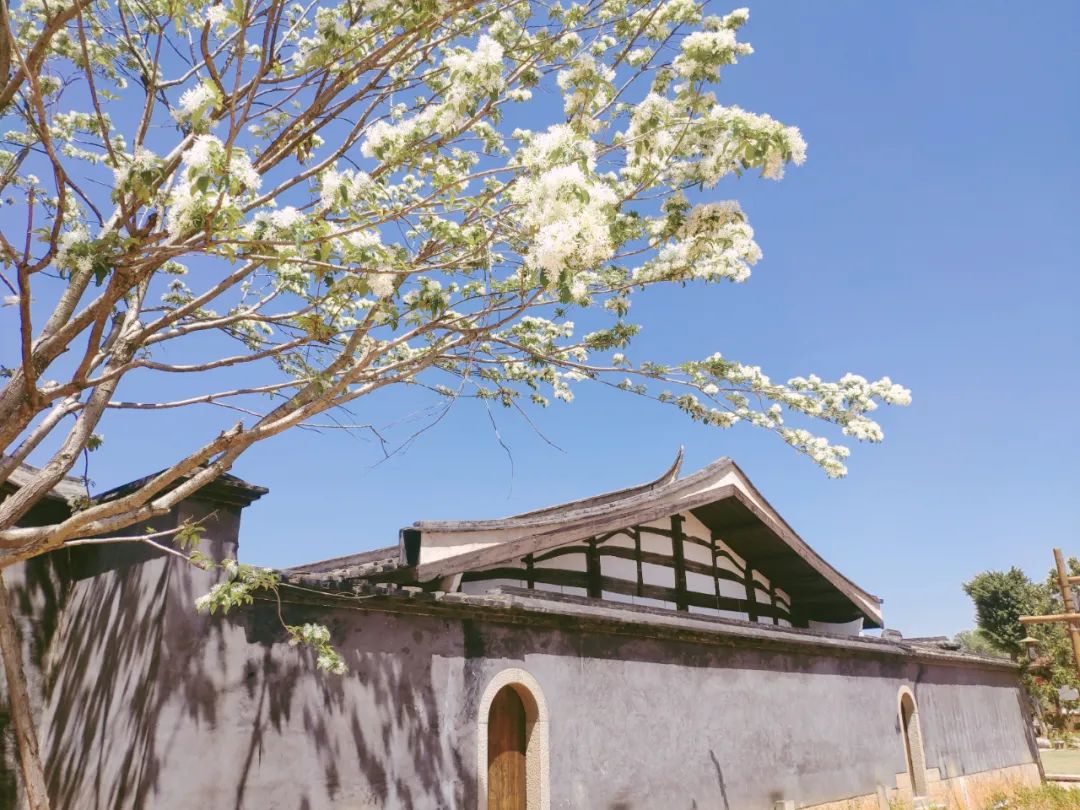人间最美四月天,人民日报头版点赞仓山这里! 人间最美四月天,人民日报头版点赞仓山这里!