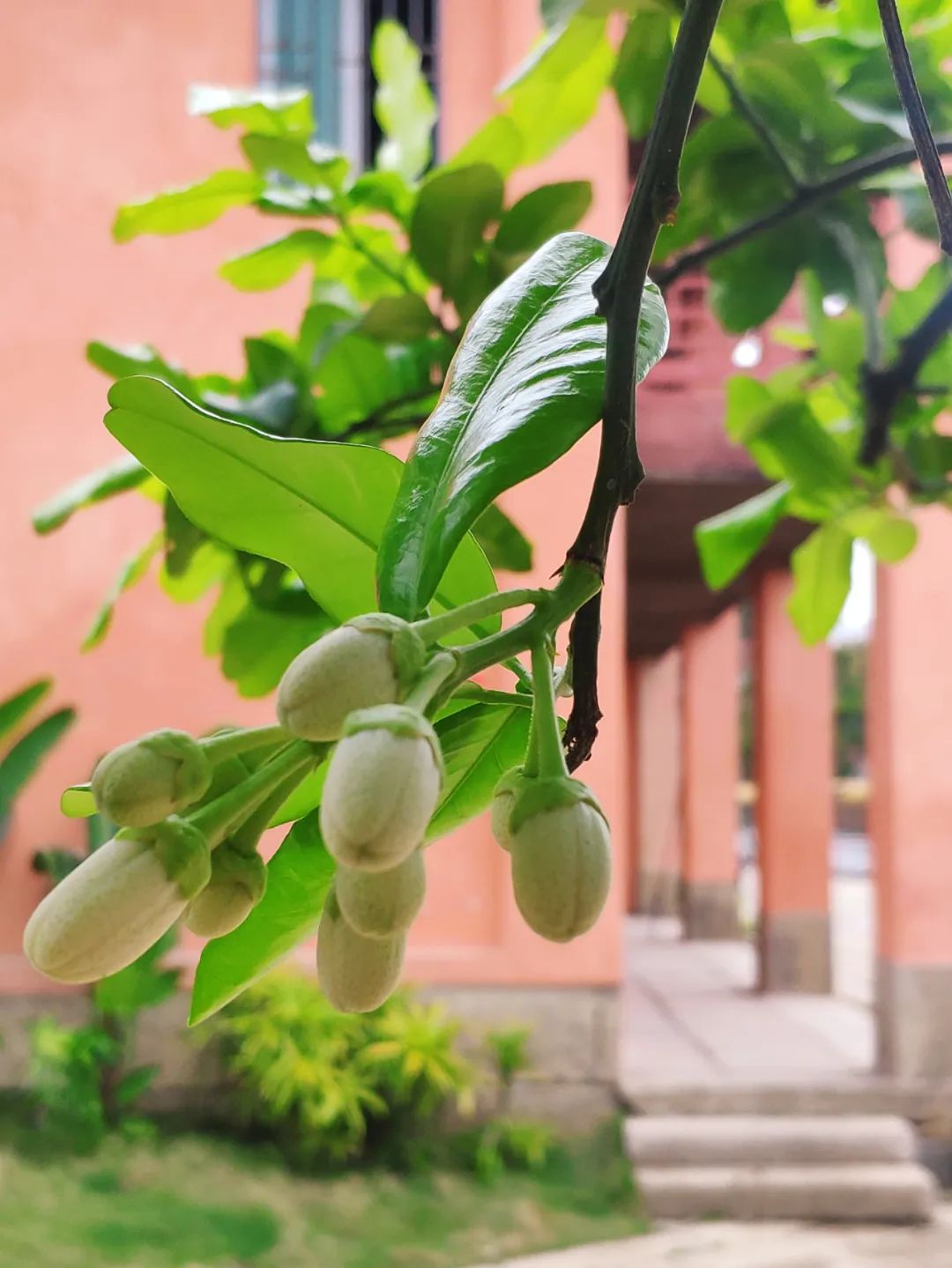 人间最美四月天,人民日报头版点赞仓山这里! 人间最美四月天,人民日报头版点赞仓山这里!