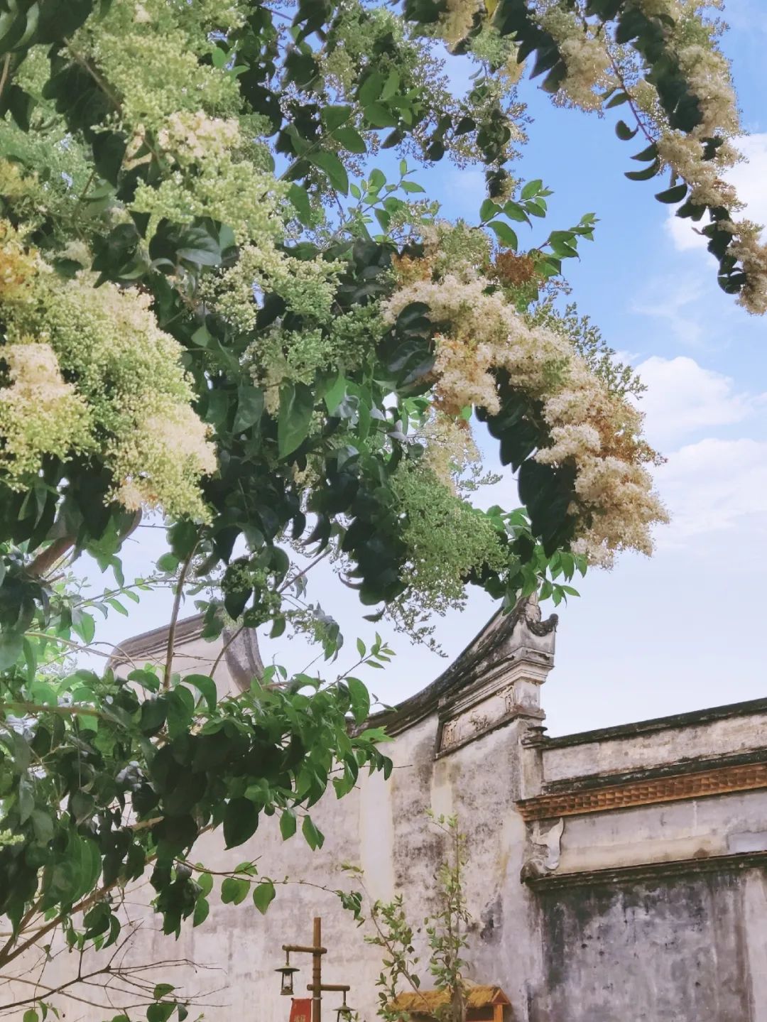 人间最美四月天,人民日报头版点赞仓山这里! 人间最美四月天,人民日报头版点赞仓山这里!