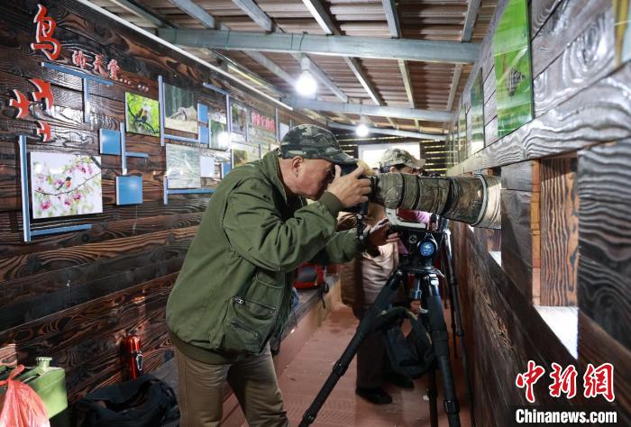 奋进新征程 建功新时代·老区新貌｜福建明溪：山乡生态美，“观鸟”促振兴