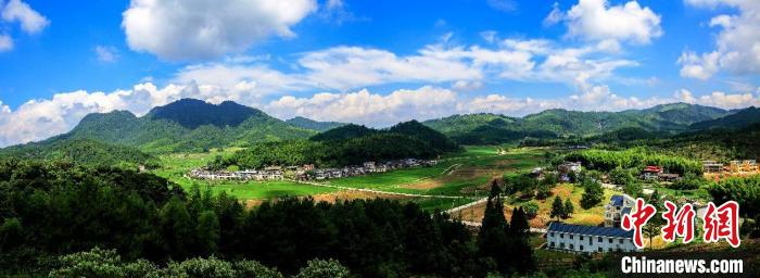 奋进新征程 建功新时代·老区新貌｜福建明溪：山乡生态美，“观鸟”促振兴