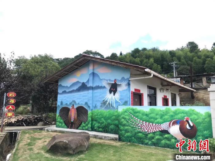 奋进新征程 建功新时代·老区新貌｜福建明溪：山乡生态美，“观鸟”促振兴