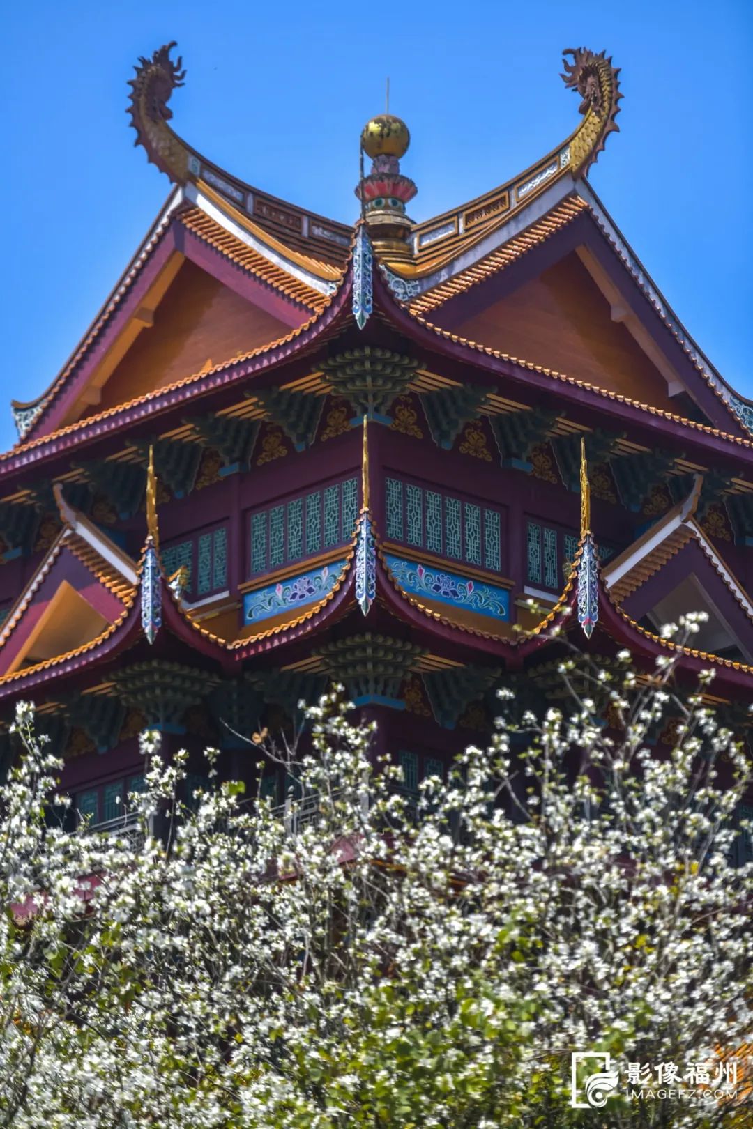 听福州丨除了西禅寺，福州的东、南、北三座禅寺都在哪？