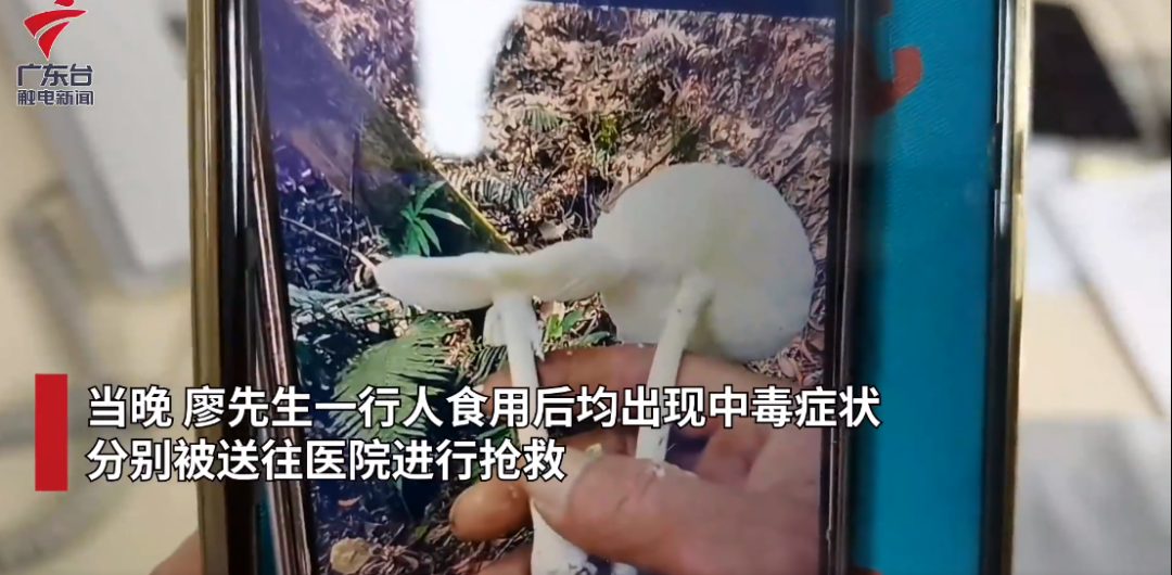 遇到野生蘑菇  谨记：不采！不买！不吃！