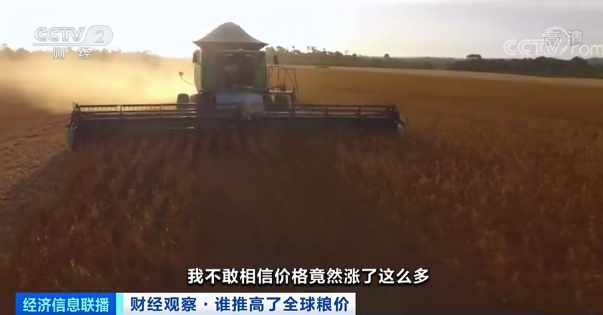 多国大批粮食变燃料，谁提高了全球粮价？