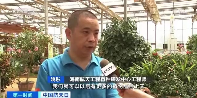 餐桌上的这些蔬菜瓜果，都是“太空种子”后代