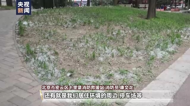 杨柳絮飘飞季,随意点燃引发火灾后果很严重! 杨柳絮飘飞季,随意点燃引发火灾后果很严重!