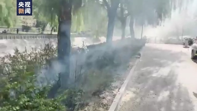 杨柳絮飘飞季,随意点燃引发火灾后果很严重! 杨柳絮飘飞季,随意点燃引发火灾后果很严重!