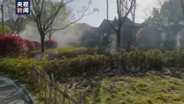 杨柳絮飘飞季,随意点燃引发火灾后果很严重! 杨柳絮飘飞季,随意点燃引发火灾后果很严重!