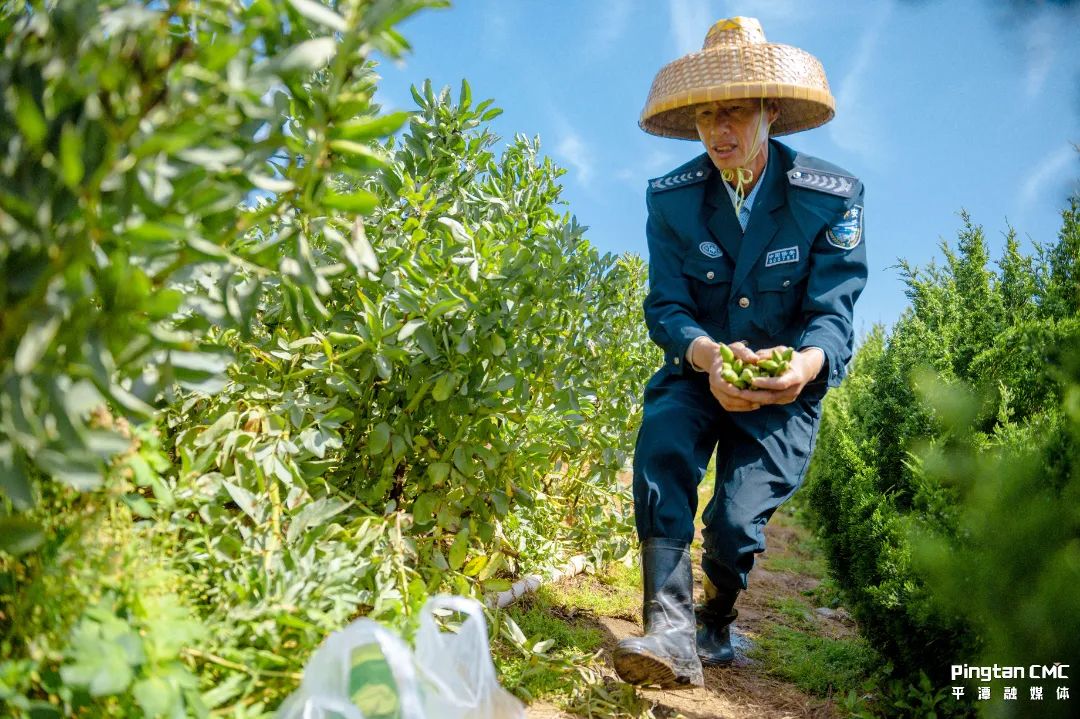 不负农时,不负春!平潭上演春耕“大片”! 不负农时,不负春!平潭上演春耕“大片”!