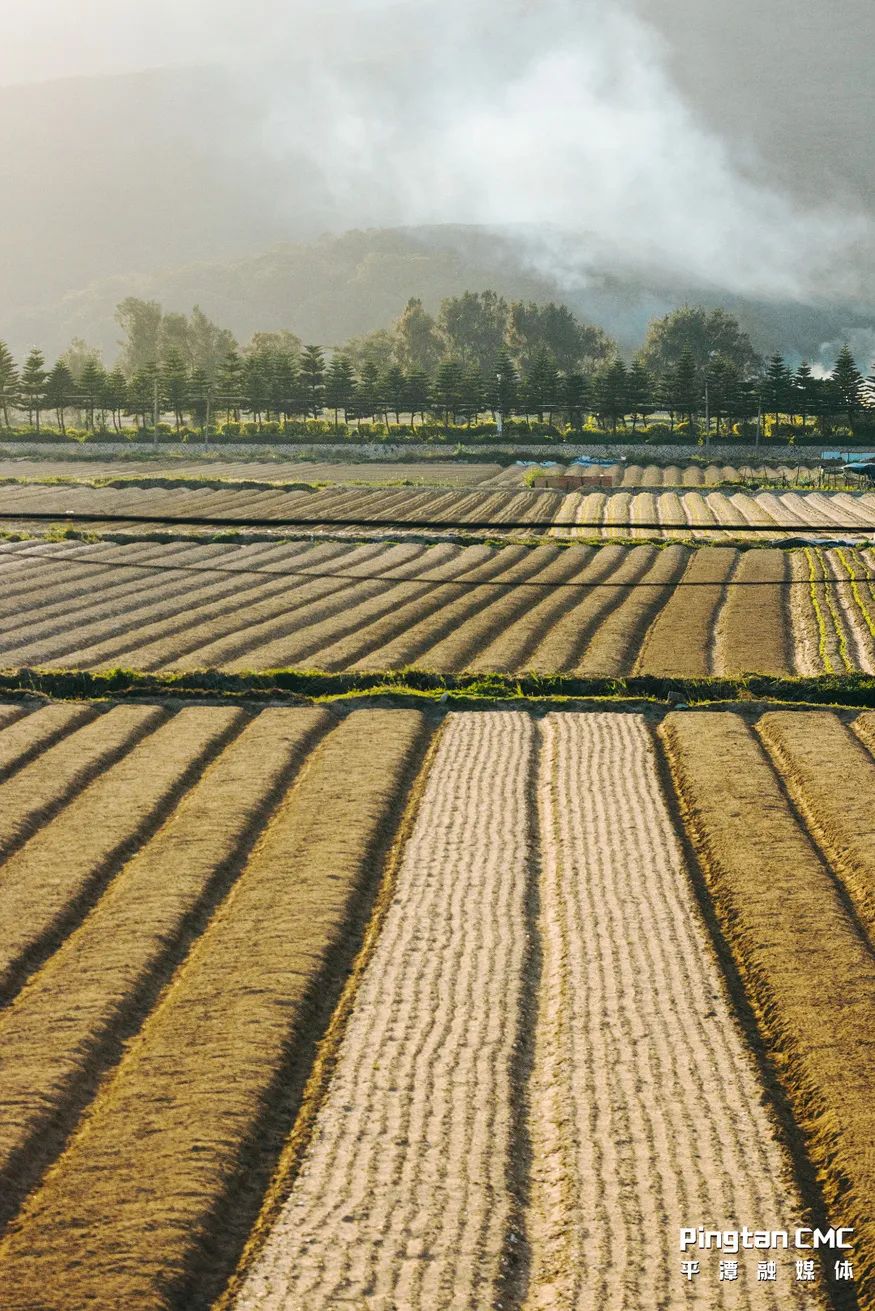 不负农时,不负春!平潭上演春耕“大片”! 不负农时,不负春!平潭上演春耕“大片”!