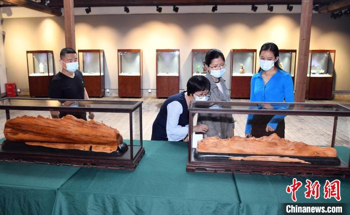 福建劳动模范艺术作品邀请展开展 致敬劳动者