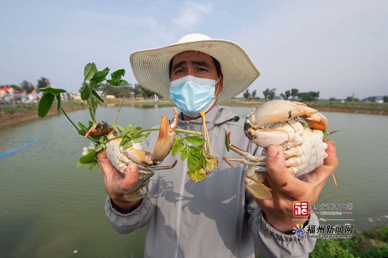 2022福州美丽乡村旅游季启动 2022福州美丽乡村旅游季启动