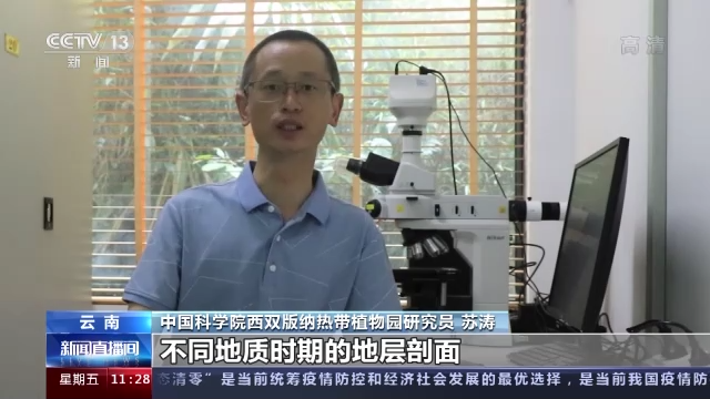 “巅峰使命”珠峰科考发现1500万年前喜马拉雅山脉植物化石