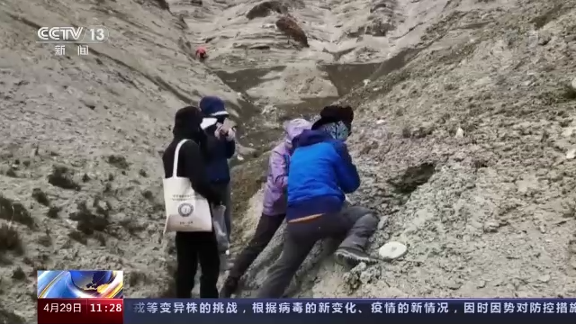 “巅峰使命”珠峰科考发现1500万年前喜马拉雅山脉植物化石