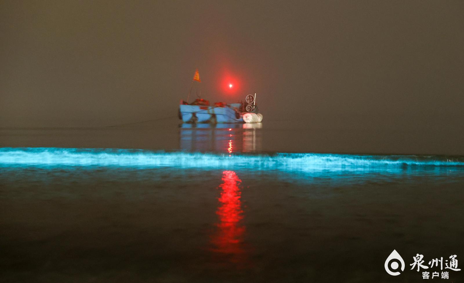 灿若星河！“蓝眼泪”踏浪而来，专家提醒……