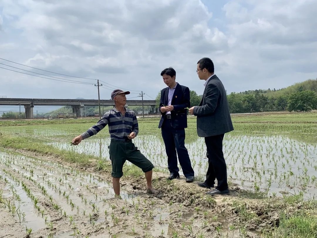 气象服务助力福建老区特色产业发展