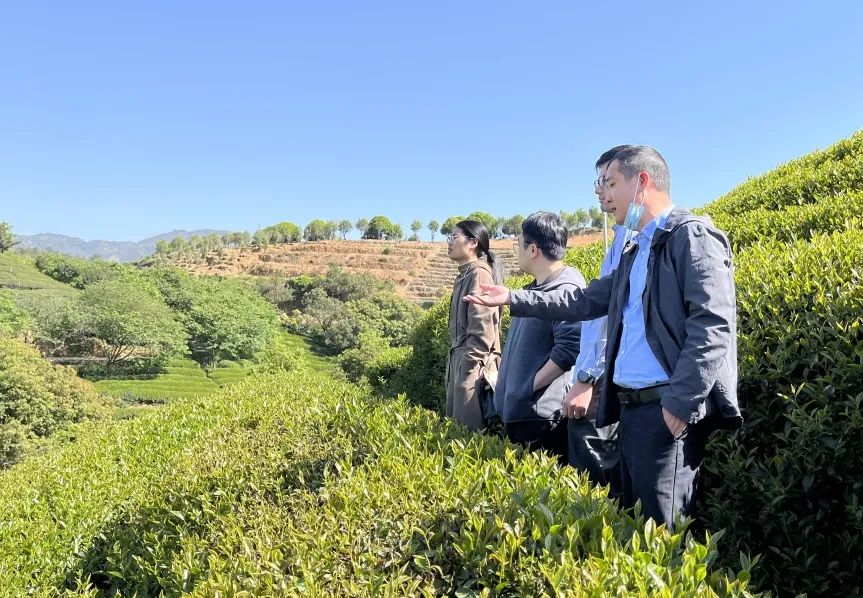 气象服务助力福建老区特色产业发展