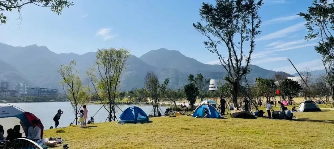 追新看点｜放假了！微信群又在讨论去哪儿“露营”了
