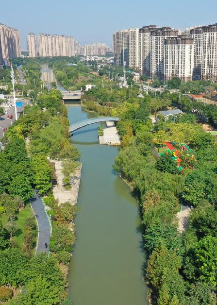 奋进新征程 建功新时代·伟大变革｜“清新福建”的新“碳”索