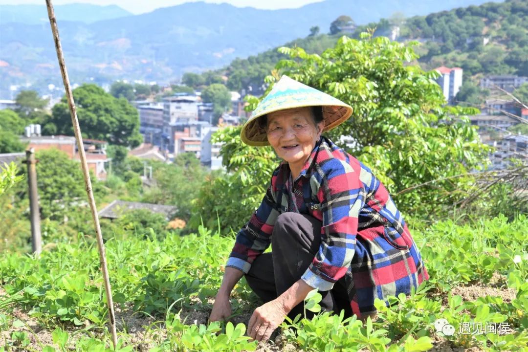 省内首个！闽侯小箬这个小山村解锁乡村振兴“幸福密码”