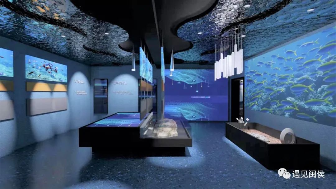 省内首个！闽侯小箬这个小山村解锁乡村振兴“幸福密码”