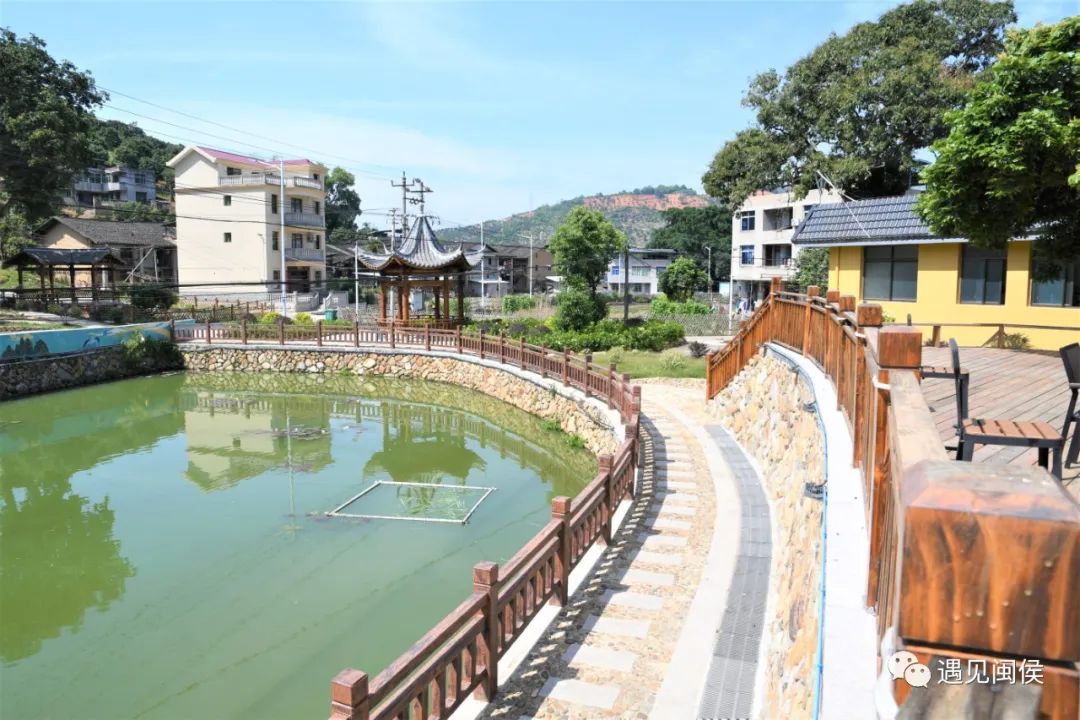 省内首个！闽侯小箬这个小山村解锁乡村振兴“幸福密码”