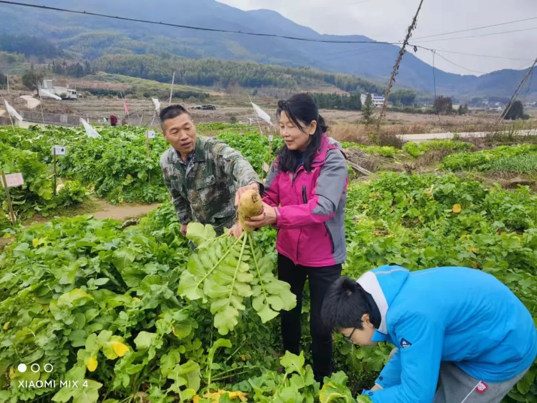 晋安：文明乡风“提速换挡”，乡村振兴驶入“快车道”