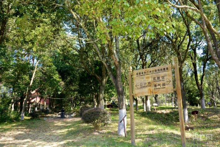 福建长汀获中央财政补助 开展水土保持小流域治理示范建设
